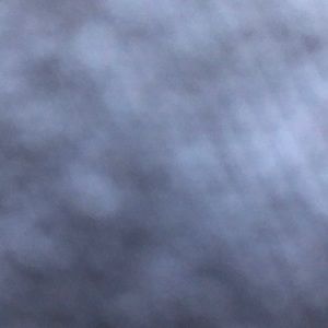 Meet your Posher, Jasmin